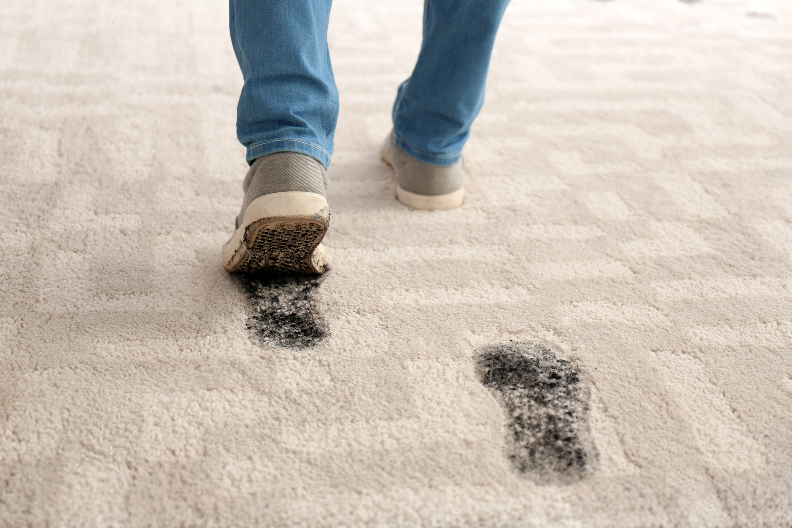 How To Clean Carpets In Winter