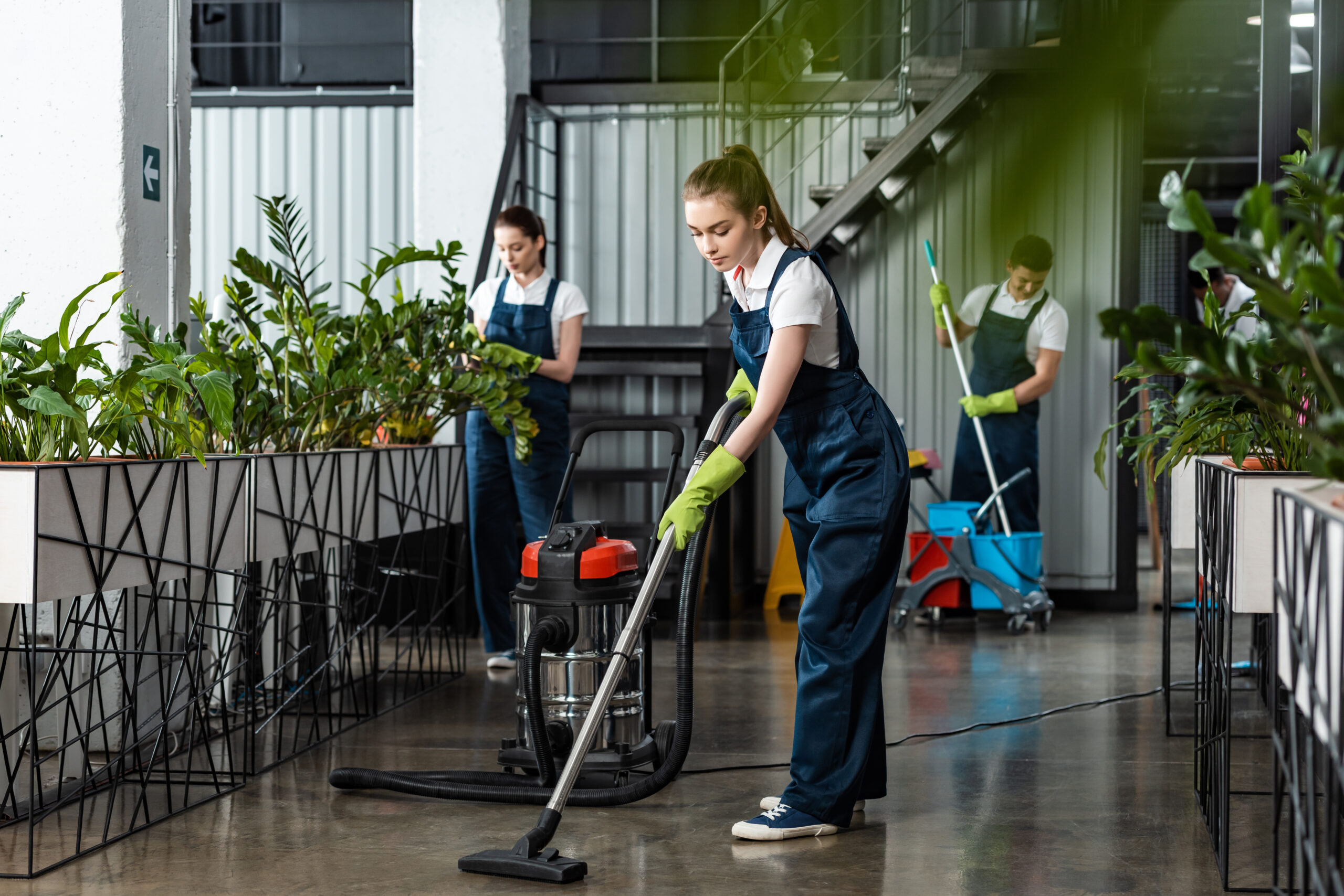 Why is Commercial Cleaning Important for Your Business