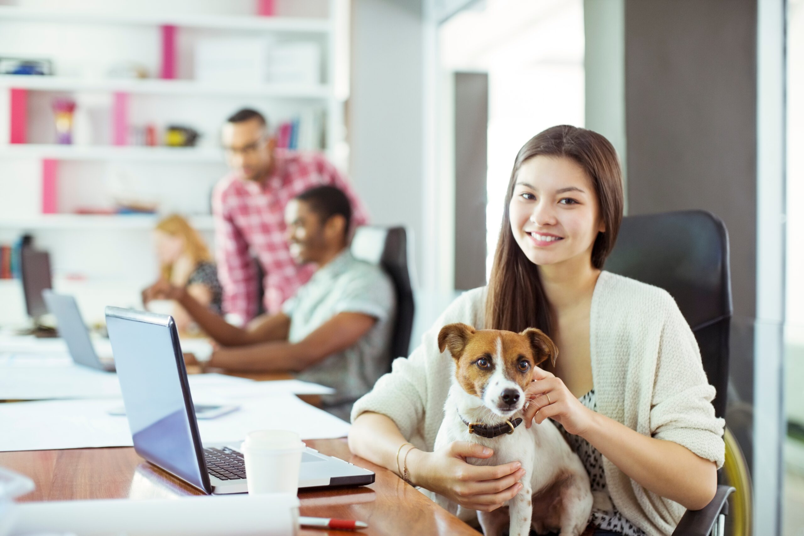 Pet-Friendly Office: Removing Pet Stains & Odours